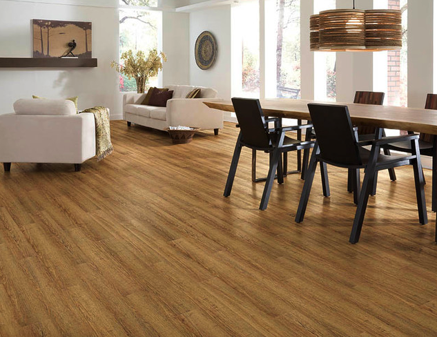 COREtec Vinyl Flooring